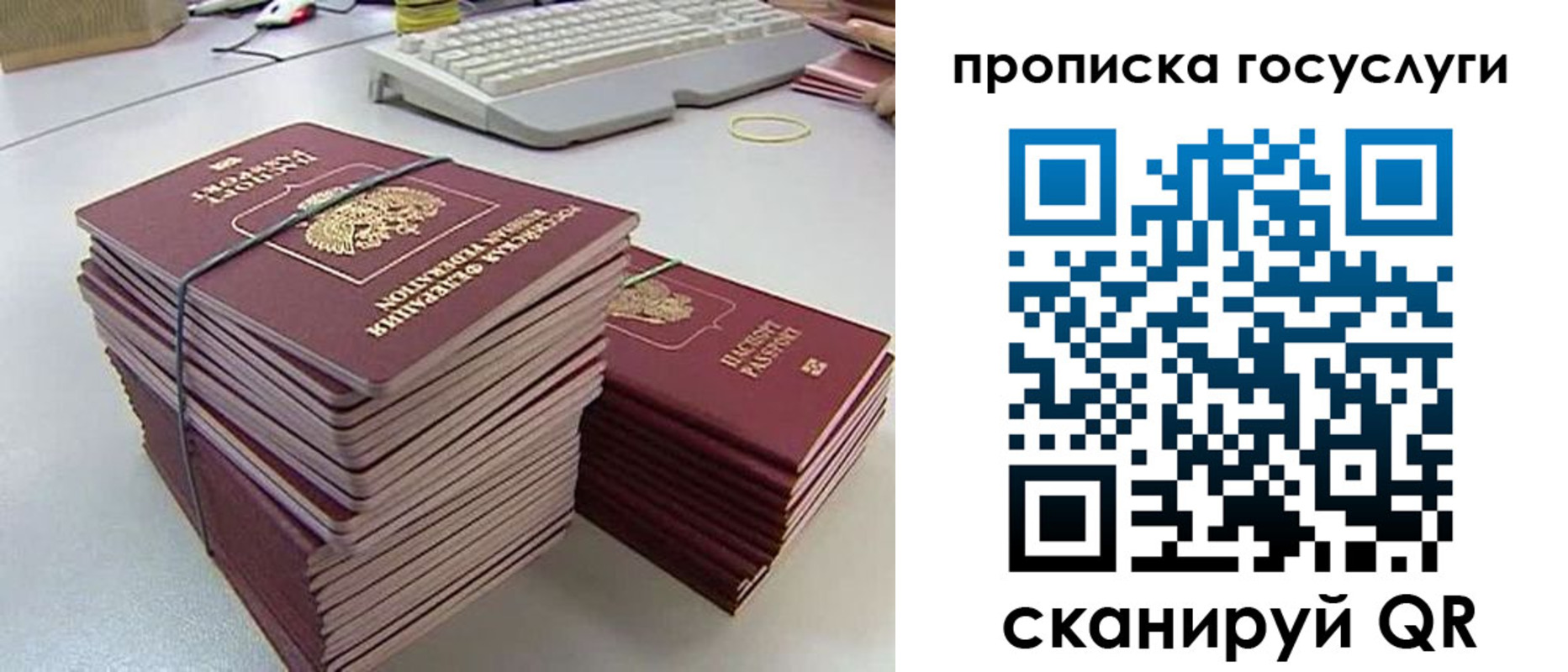 временная регистрация для школы в Краснознаменске